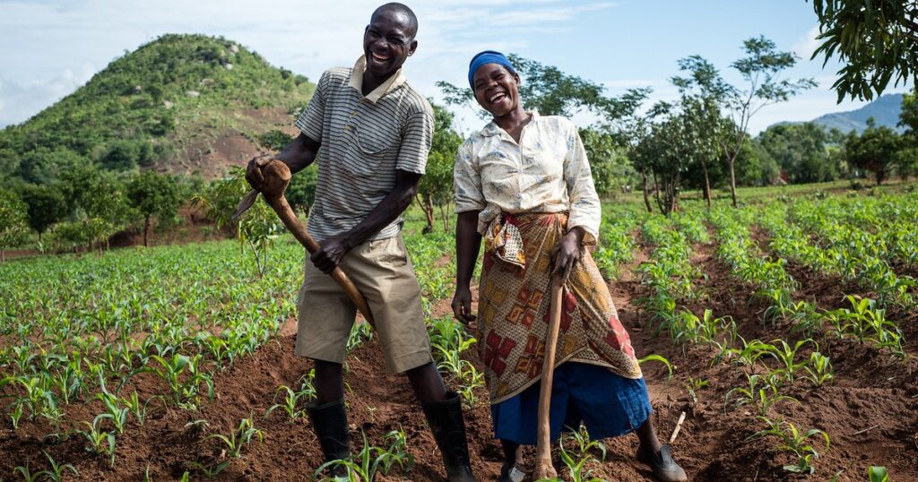 Could farming help solve the climate crisis