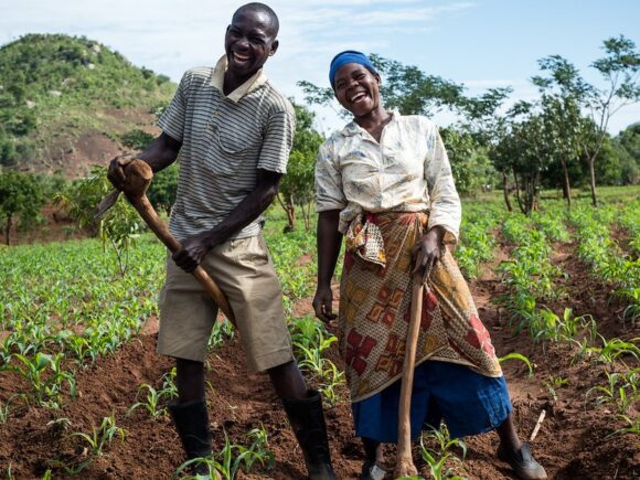 Could farming help solve the climate crisis