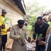 Planting trees in Turkana