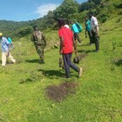 Planting trees in Turkana